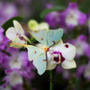 Little Wonders Butterfly Set - The Pastels