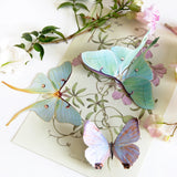 Little Wonders Butterfly Set - The Pastels