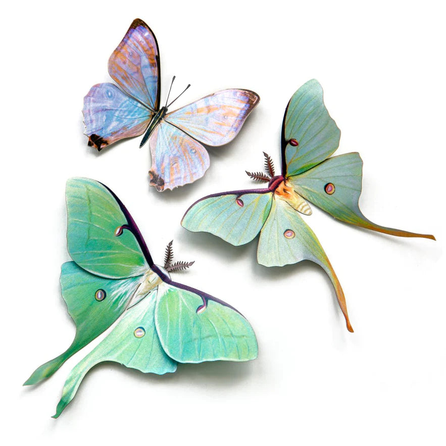 Little Wonders Butterfly Set - The Pastels | Swallowtail