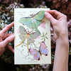 Little Wonders Butterfly Set - The Pastels