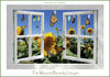 Double-Sided Monarch Life Cycle Poster