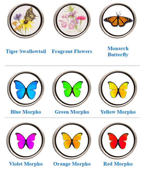 Designer Butterfly Favor Box  With Seed Tin and Pouch - Set of 12