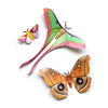 Little Wonders Butterfly Set - The Woodlands
